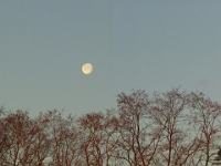 01512 - Panorama of Moon in the morning   Each New Day A Miracle  [  Understanding the Bible   |   Poetry   |   Story  ]- by Pete Rhebergen